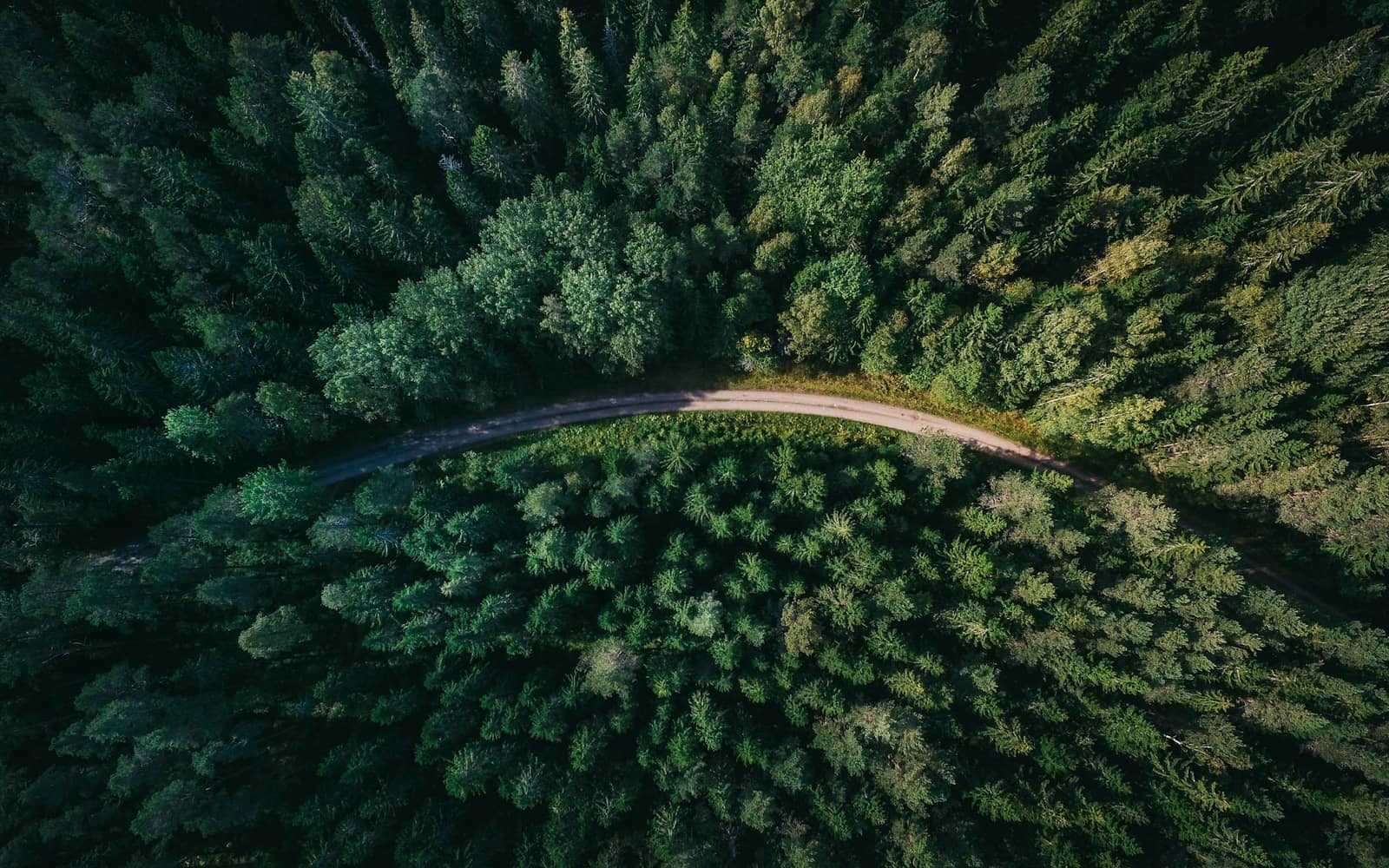 Captura aérea por drone